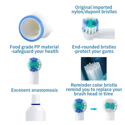 Toothbrush heads with features highlighted on a white background